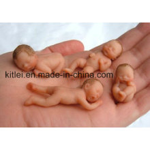 Good Quality Real Mini Baby Toy Wedding Gift